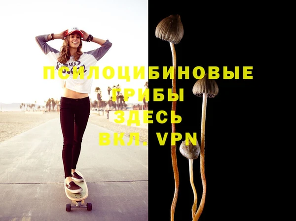 первитин Киренск