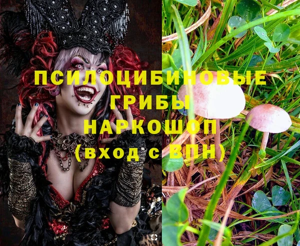 первитин Киренск